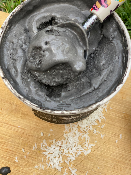 Coconutty Charcoal Ice Cream
