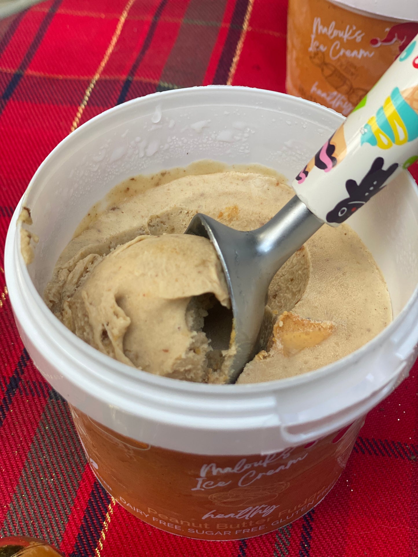 Peanut Butter Fudge Ice Cream